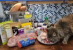 Homemade Cat Food