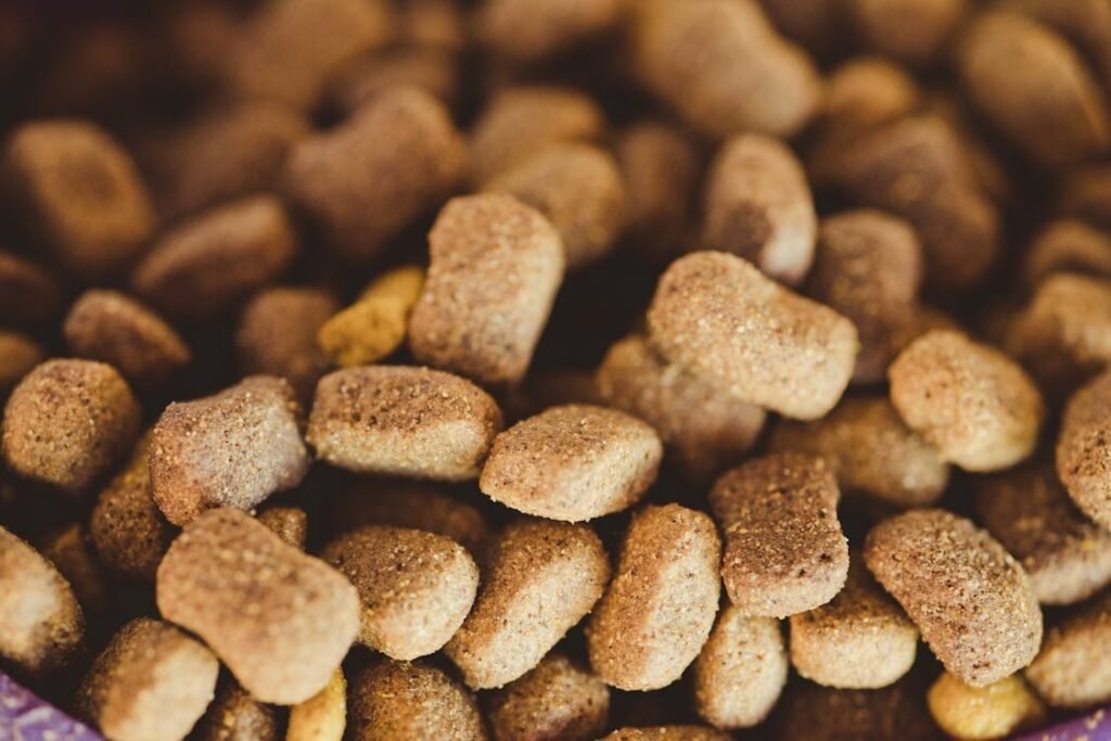 free-photo-of-close-up-of-dog-food (1)