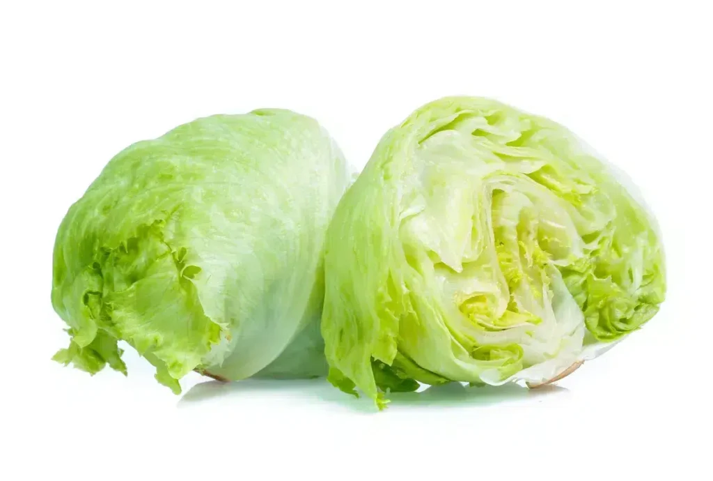 lettuce leaf