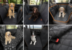 Why Pet Car Seat Covers Are Important