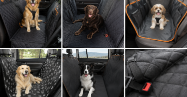 Why Pet Car Seat Covers Are Important